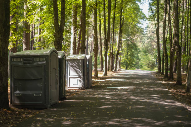 Best Porta potty rental for parties  in Carterville, MO